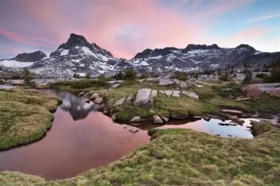 The Role of Social Media Marketing in Growing Modern Businesses