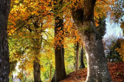 The Importance of Content Marketing in Modern Business